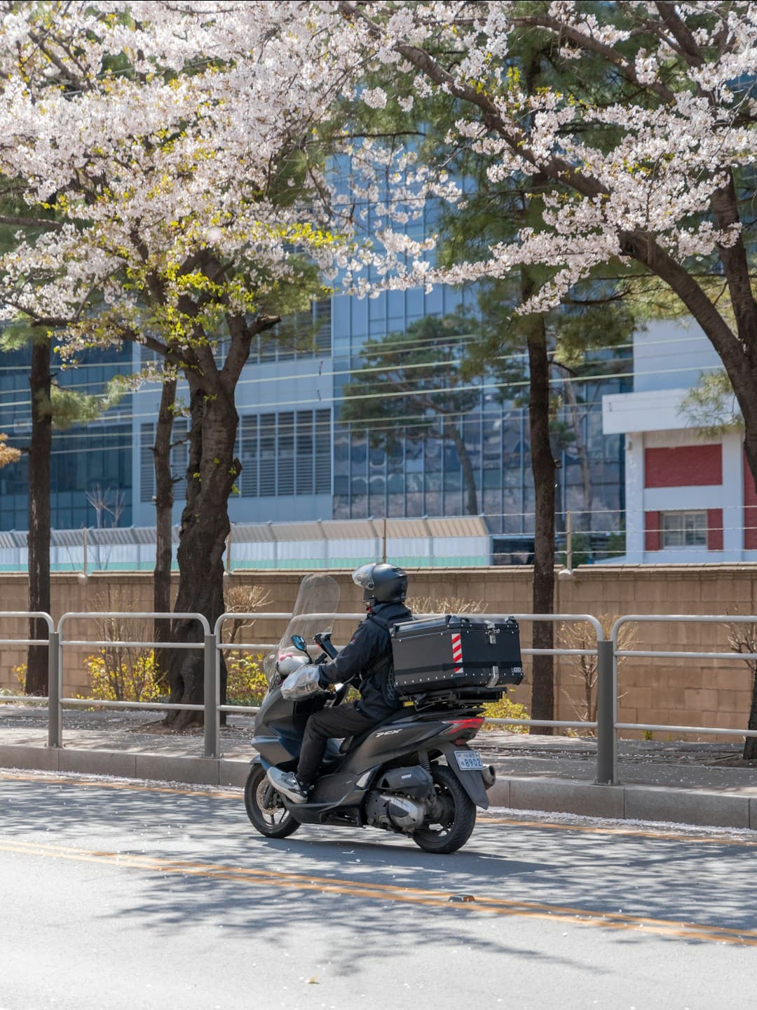Delivery